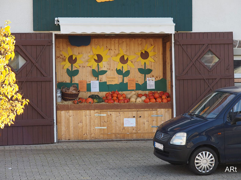 Ein Verkaufsstand in Oberbaldingen

